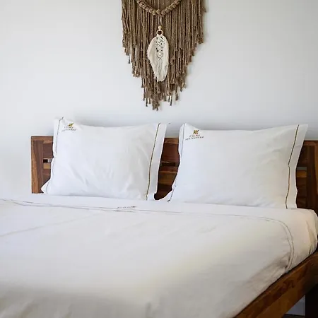 Videira By Dalma Portuguesa - By Dalma Portuguesa Villa *