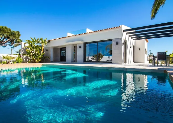 Videira By Dalma Portuguesa - By Dalma Portuguesa * البوفيرا