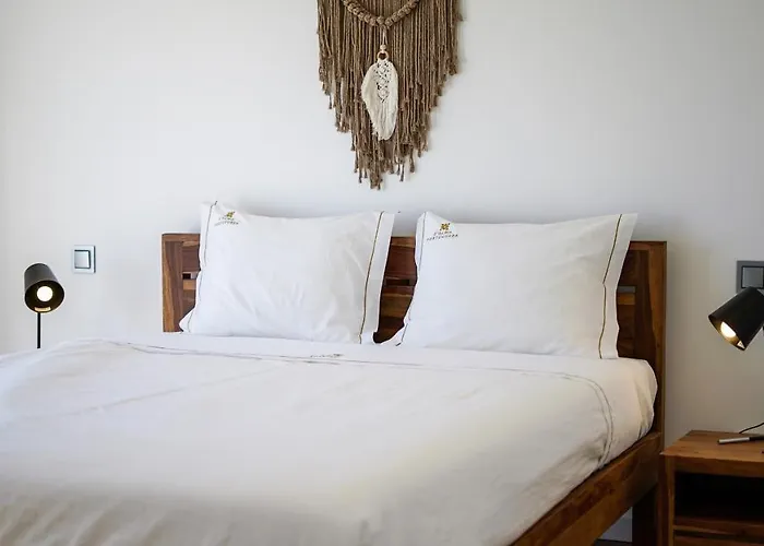 Videira By Dalma Portuguesa - By Dalma Portuguesa فيلة *