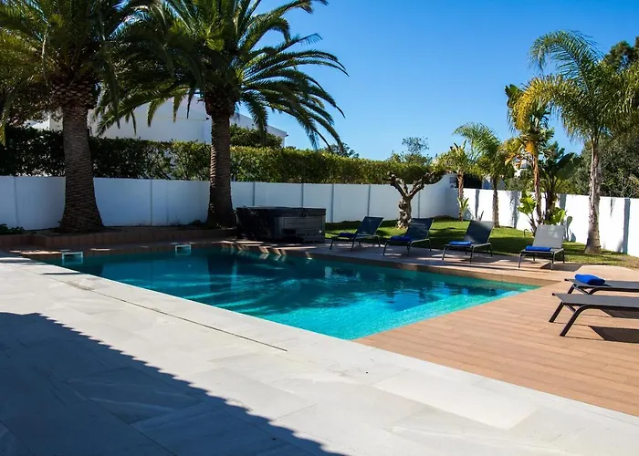 Videira By Dalma Portuguesa - By Dalma Portuguesa فيلة