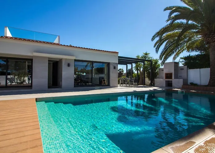 Videira By Dalma Portuguesa - By Dalma Portuguesa *