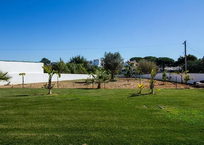 Videira By Dalma Portuguesa - By Dalma Portuguesa فيلة *