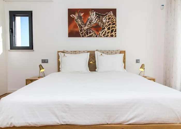 Videira By Dalma Portuguesa - By Dalma Portuguesa فيلة *