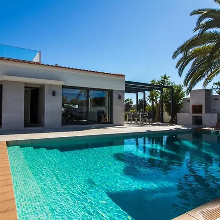 Videira By Dalma Portuguesa - By Dalma Portuguesa *