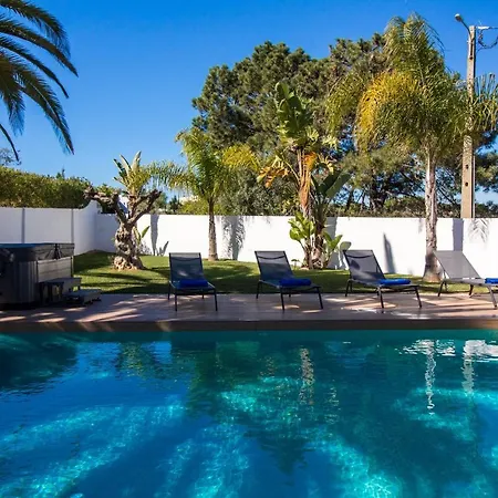 Videira By Dalma Portuguesa - By Dalma Portuguesa *